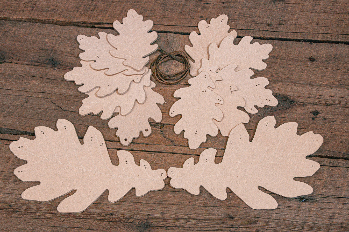 Oak Leaf Corset Belt Kit