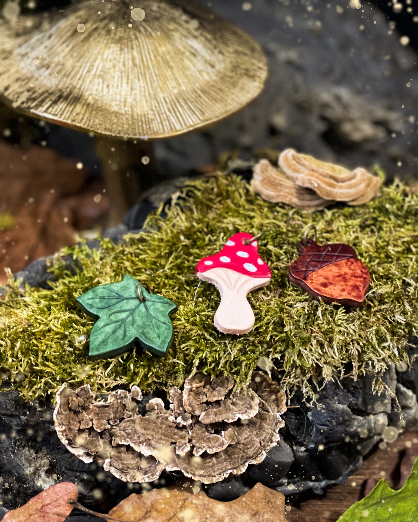 Charms of the Forest