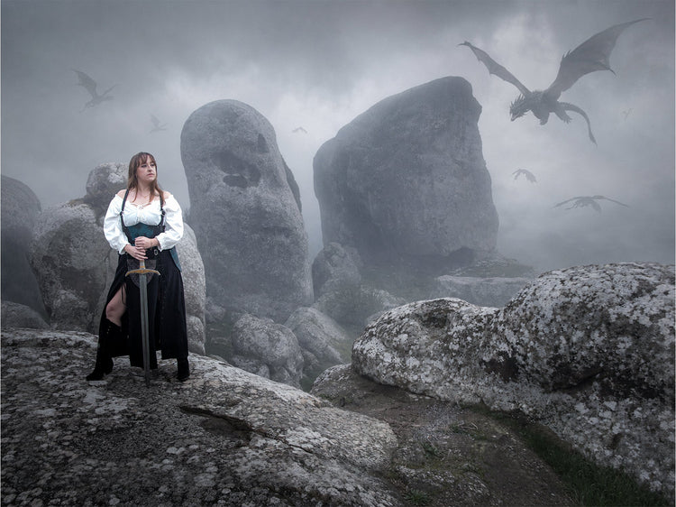 The Dragon Aerie