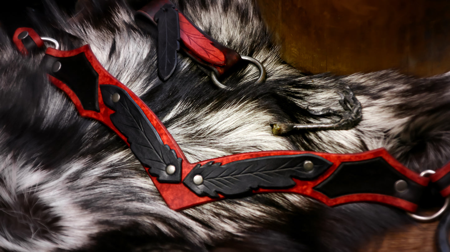 Shadowspire Assassin's Belt