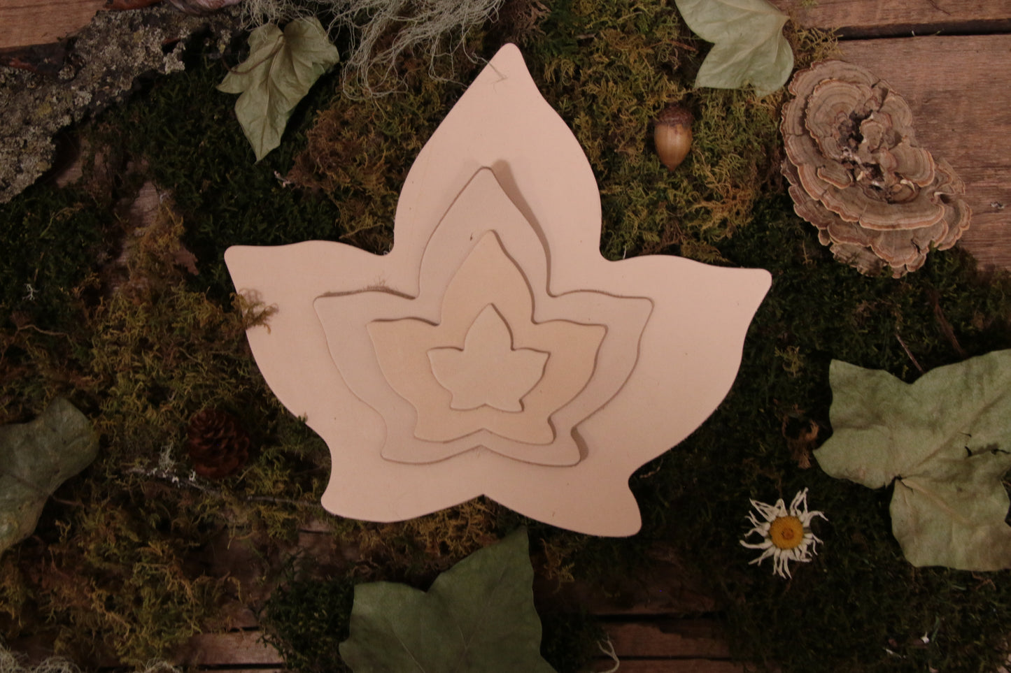 Ivy Leaf Cutout