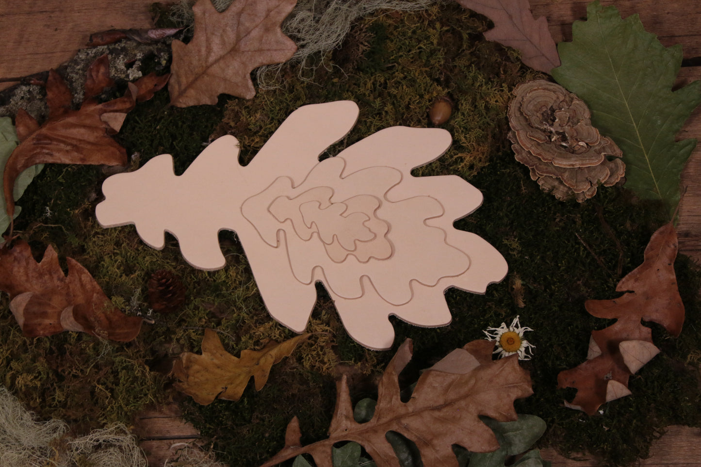 Oak Leaf Cutout