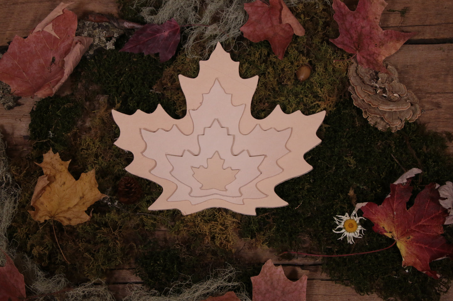 Maple Leaf Cutout