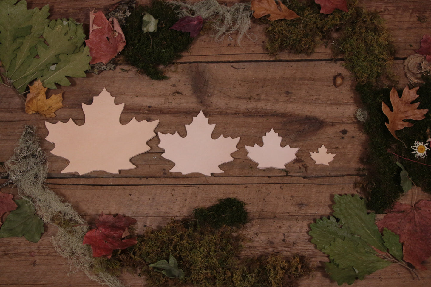 Maple Leaf Cutout