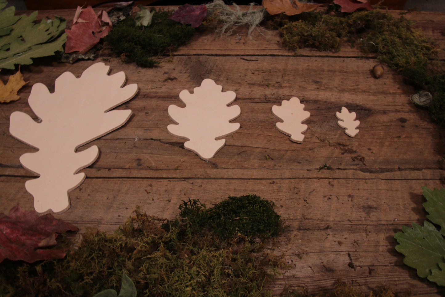 Oak Leaf Cutout