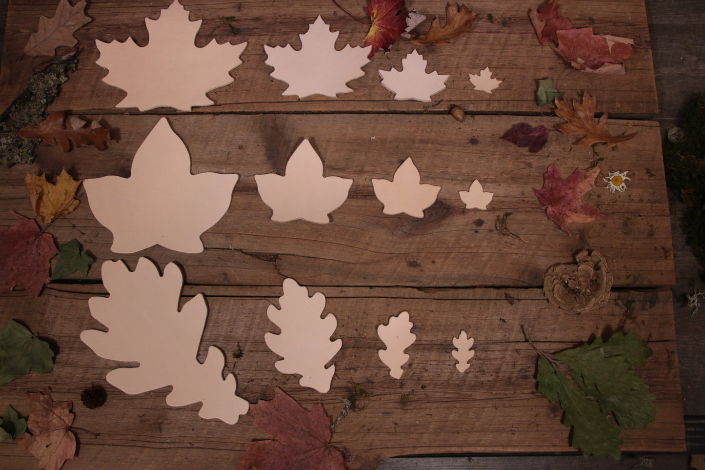 Oak Leaf Cutout