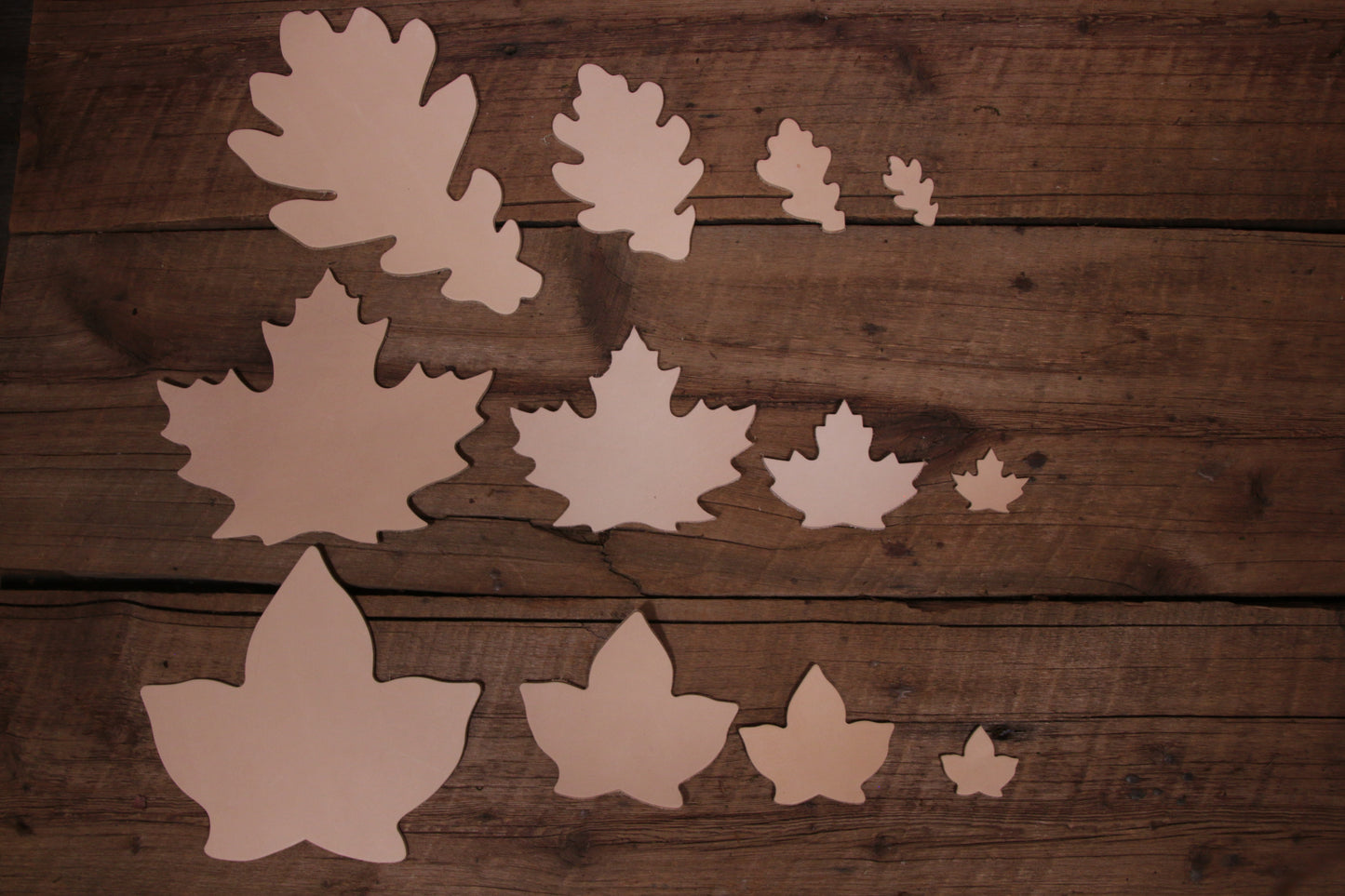 Maple Leaf Cutout