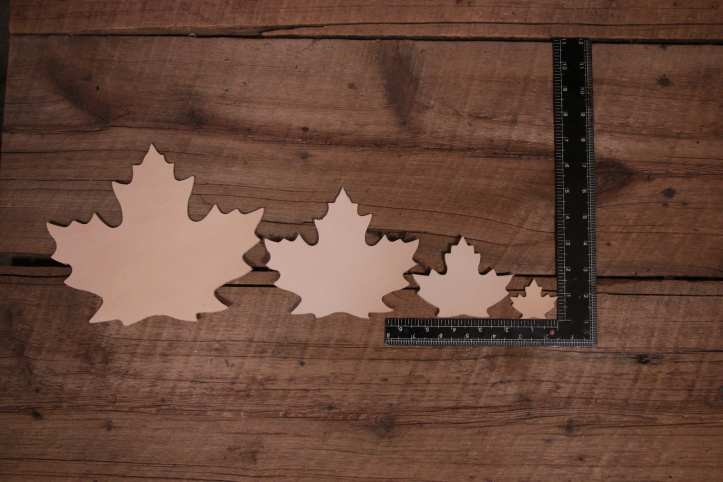 Maple Leaf Cutout