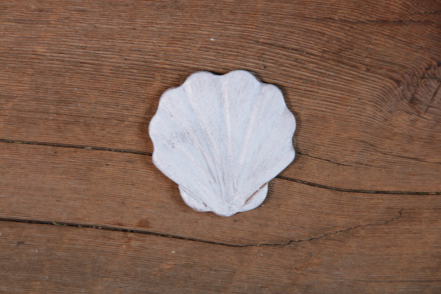 Siren's Shell Charm