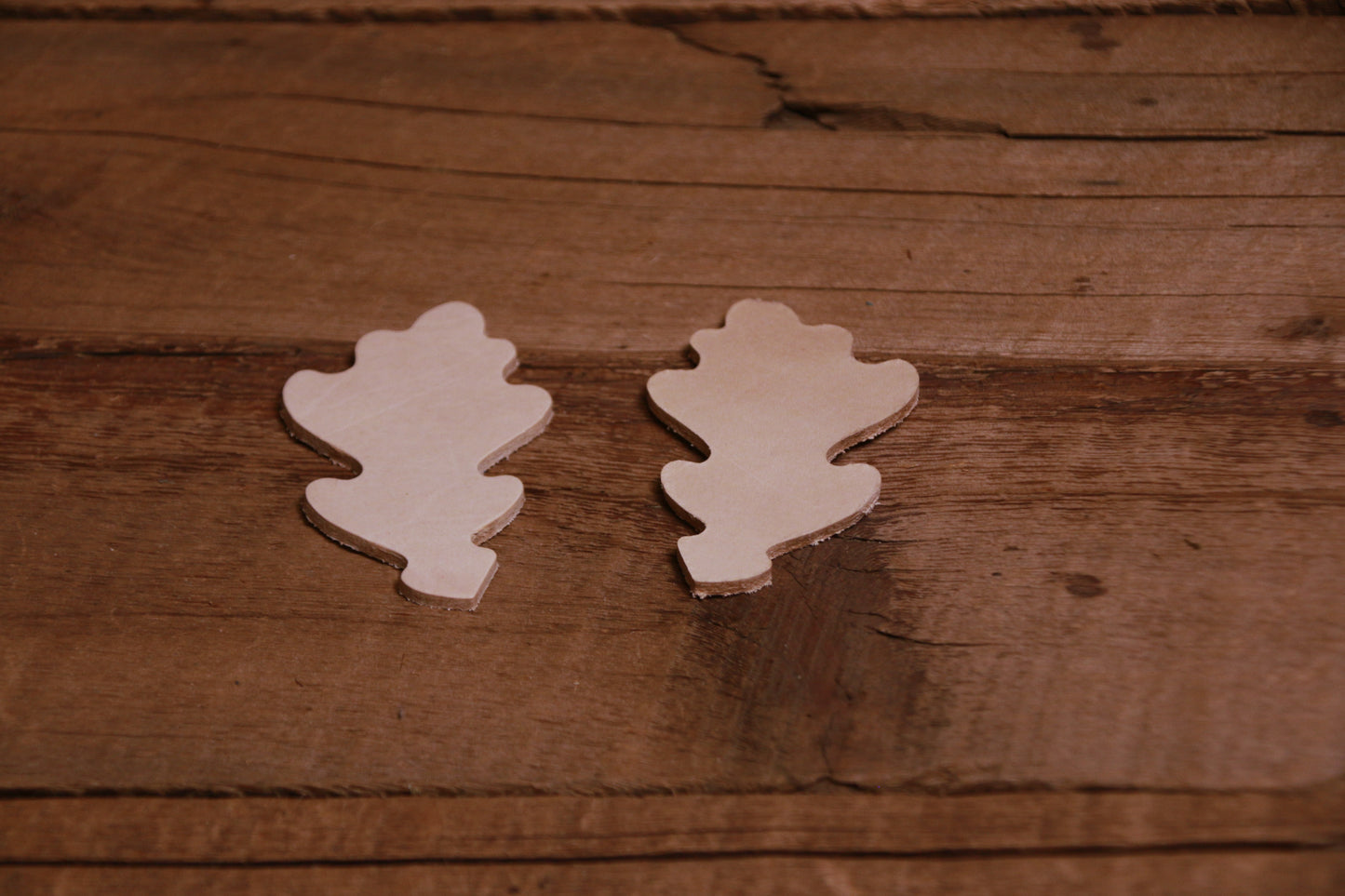 Oak Leaf Cutout