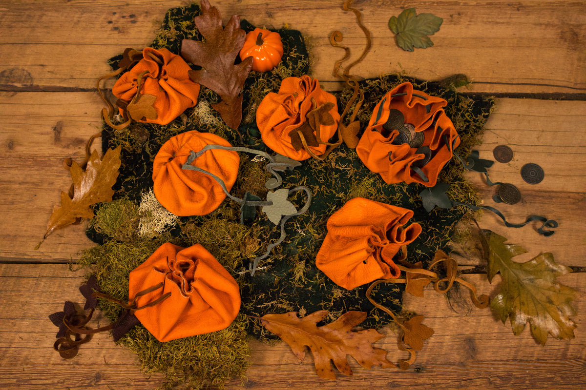 Ready to Ship Pumpkin Pouches
