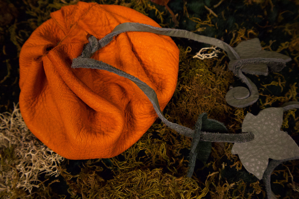 Ready to Ship Pumpkin Pouches