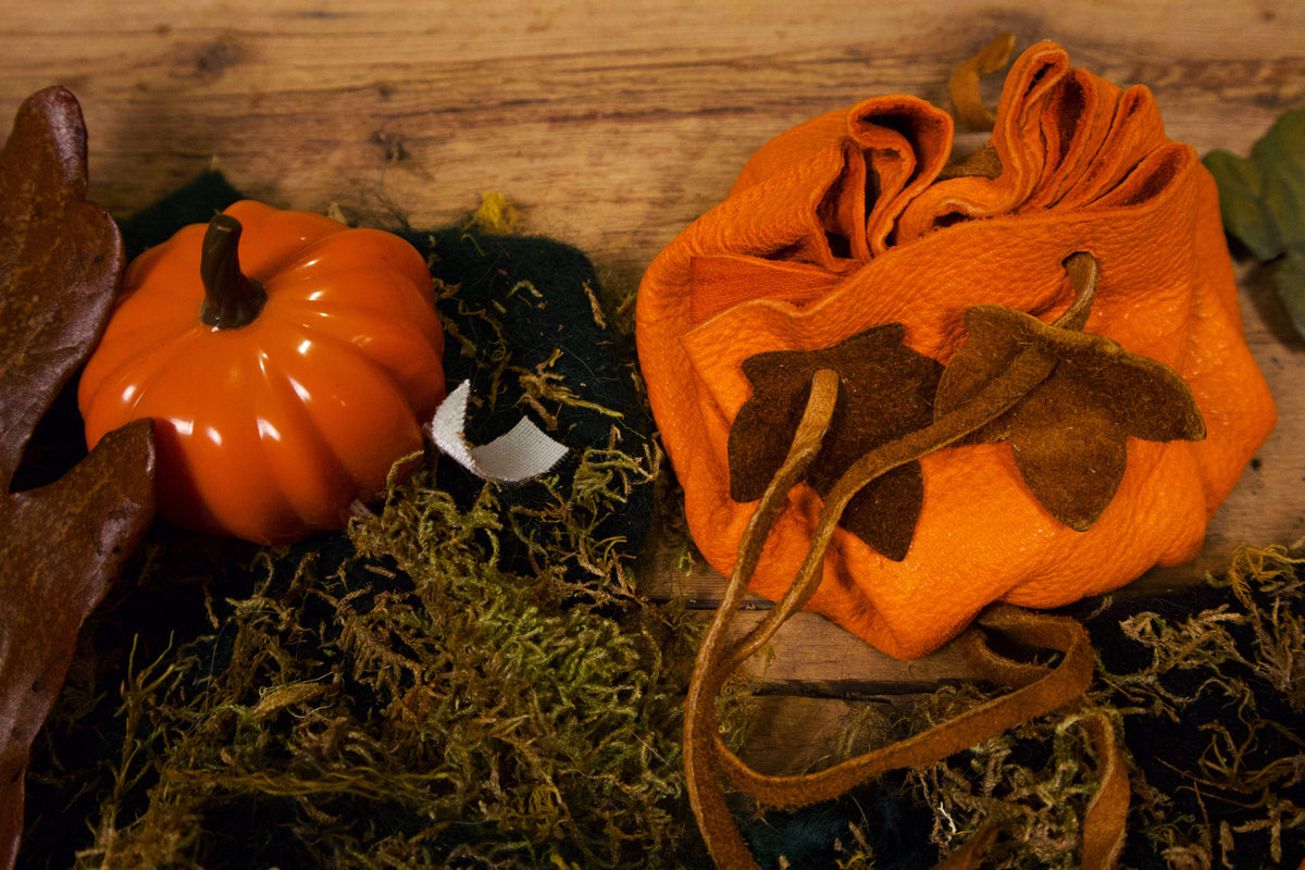Ready to Ship Pumpkin Pouches