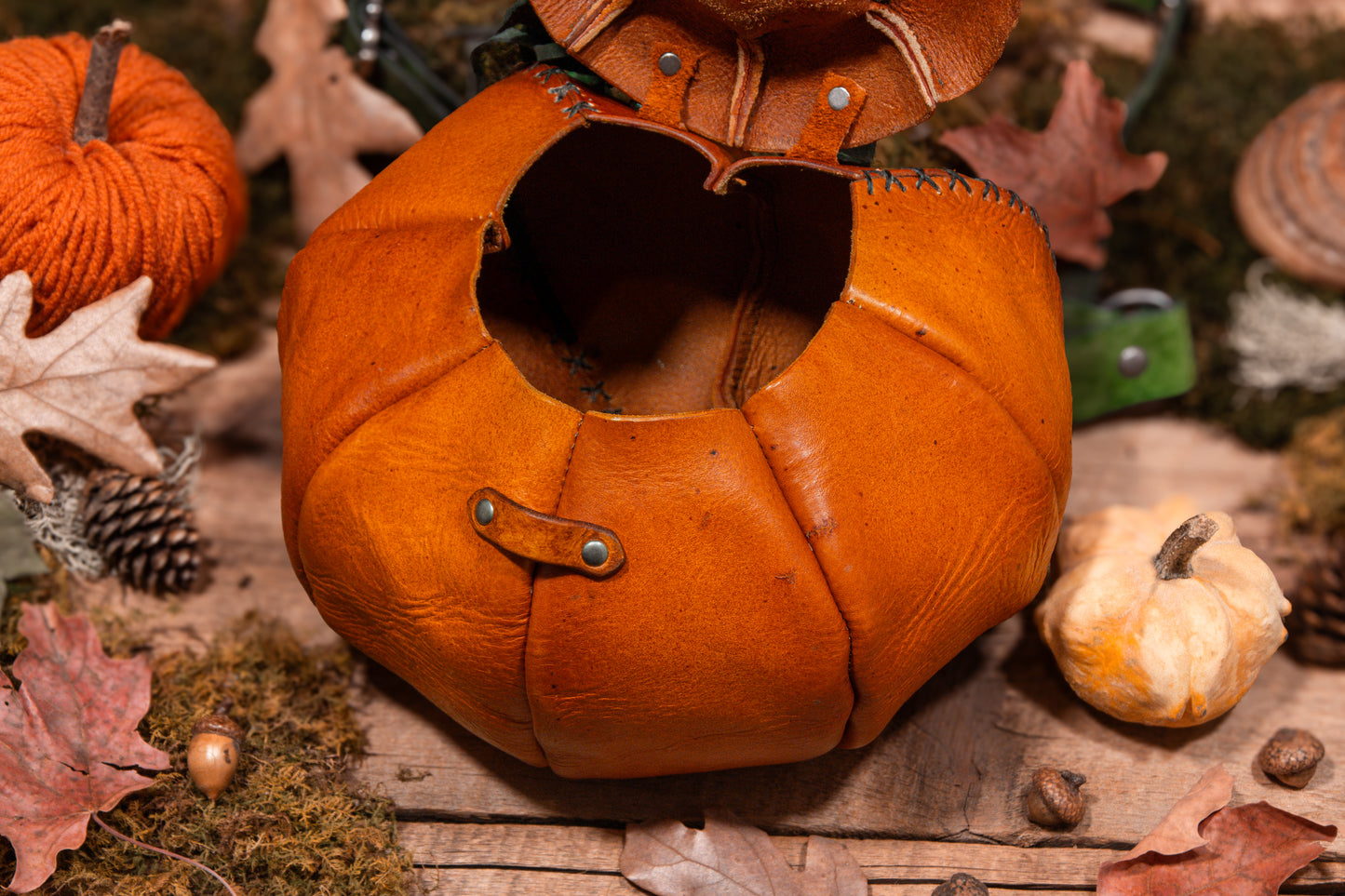 One-of-a-kind Pumpkin Backpack